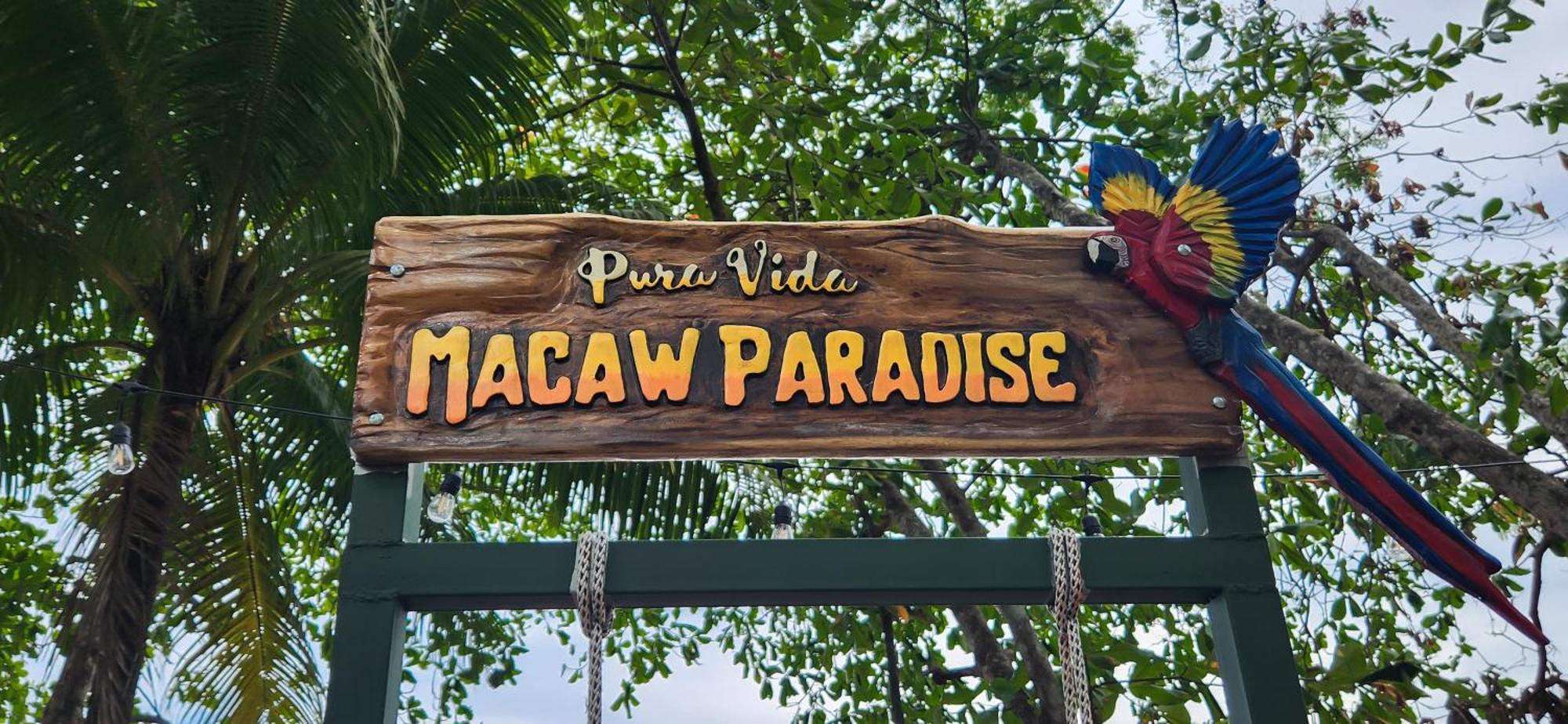 יקו Macaw Paradise מראה חיצוני תמונה