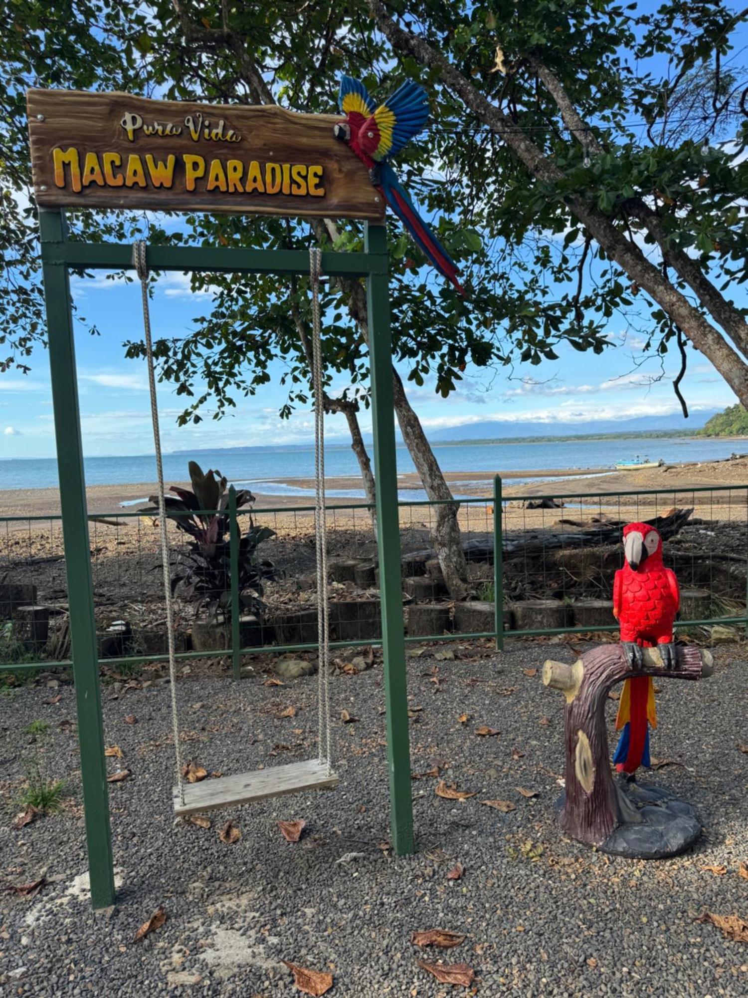 יקו Macaw Paradise מראה חיצוני תמונה